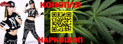 ALPHA PVP Гай