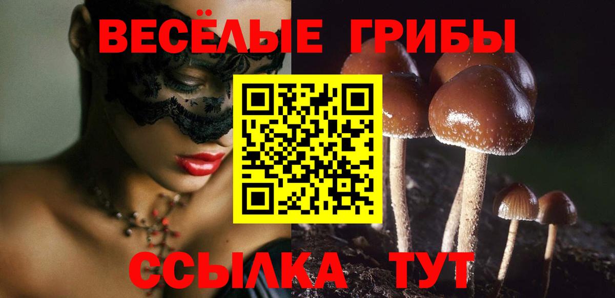 Галлюциногенные грибы GOLDEN TEACHER Новомосковск