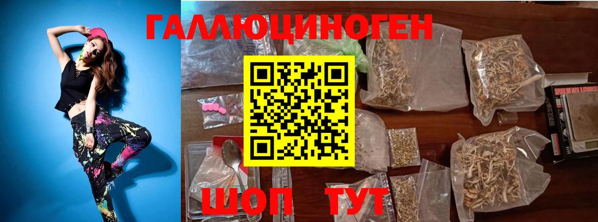 Новомосковск  Псилоцибиновые грибы GOLDEN TEACHER  Вход с VPN  Псилоцибиновые грибы мухоморы 